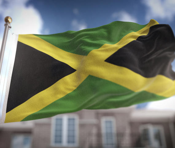 Die Sondierungsgespräche für eine sogenannte Jamaika-Koalition auf Bundesebene sind ohne Einigung beendet worden.