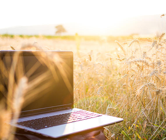 Die ZEW-Studie hat erstmals die Webseitenpräsenz und -nutzung von 2,1 Millionen Unternehmen in Deutschland untersucht.