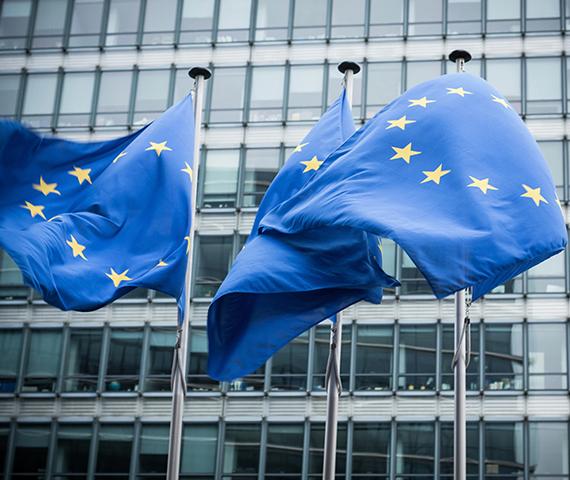 Die Vorschläge der EU-Kommission für neue Einnahmequellen im EU-Haushalt erbringen keine höhere Transparenz bei der Finanzierung.