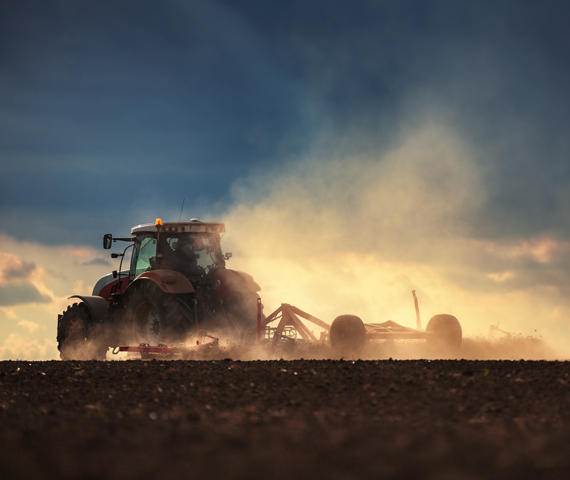 Durch die lang anhaltende Trockenheit befürchten viele Landwirte in Deutschland gravierende Ernteausfälle - und fordern steuerfinanzierte Staatshilfen.