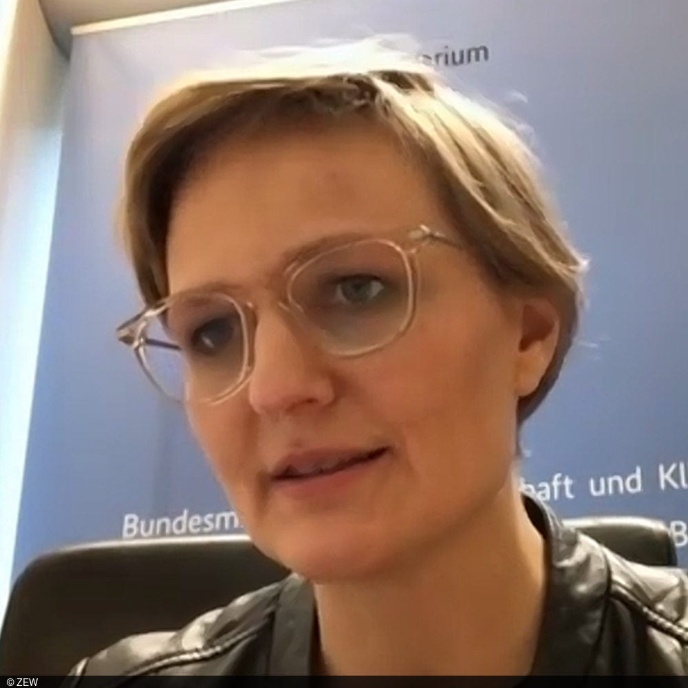 Screenshot von Franziska Brantner