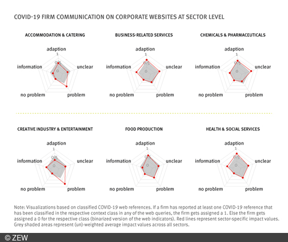 Graphic with results of the ZEW study on AI-based analysis of corporate websites