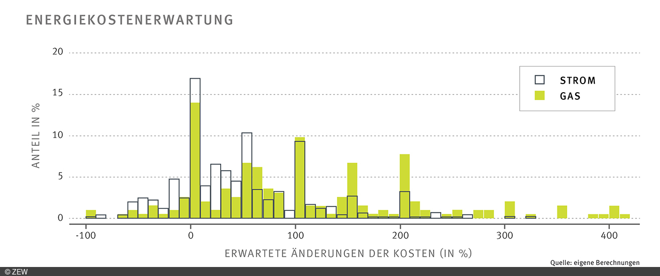 Balkengrafik mit den von den befragten Haushalten erwarteten Energiekosten für Gas und Strom.