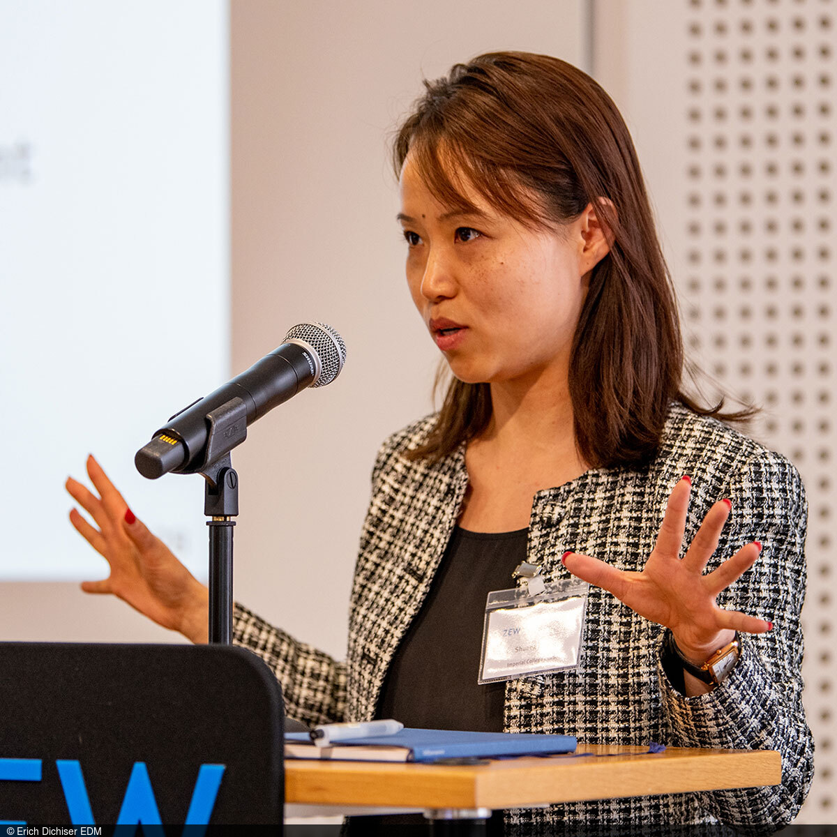 Professor Shuang Zhang referiert bei der Mannheimer Konferenz zu Energie und Umwelt am ZEW.