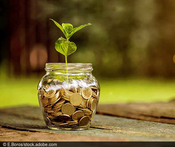 Ein Glas gefüllt mit Geldmünzen und einer daraus entsprießenden Pflanze.