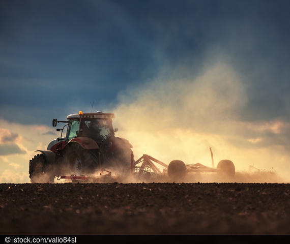 Durch die lang anhaltende Trockenheit befürchten viele Landwirte in Deutschland gravierende Ernteausfälle - und fordern steuerfinanzierte Staatshilfen.