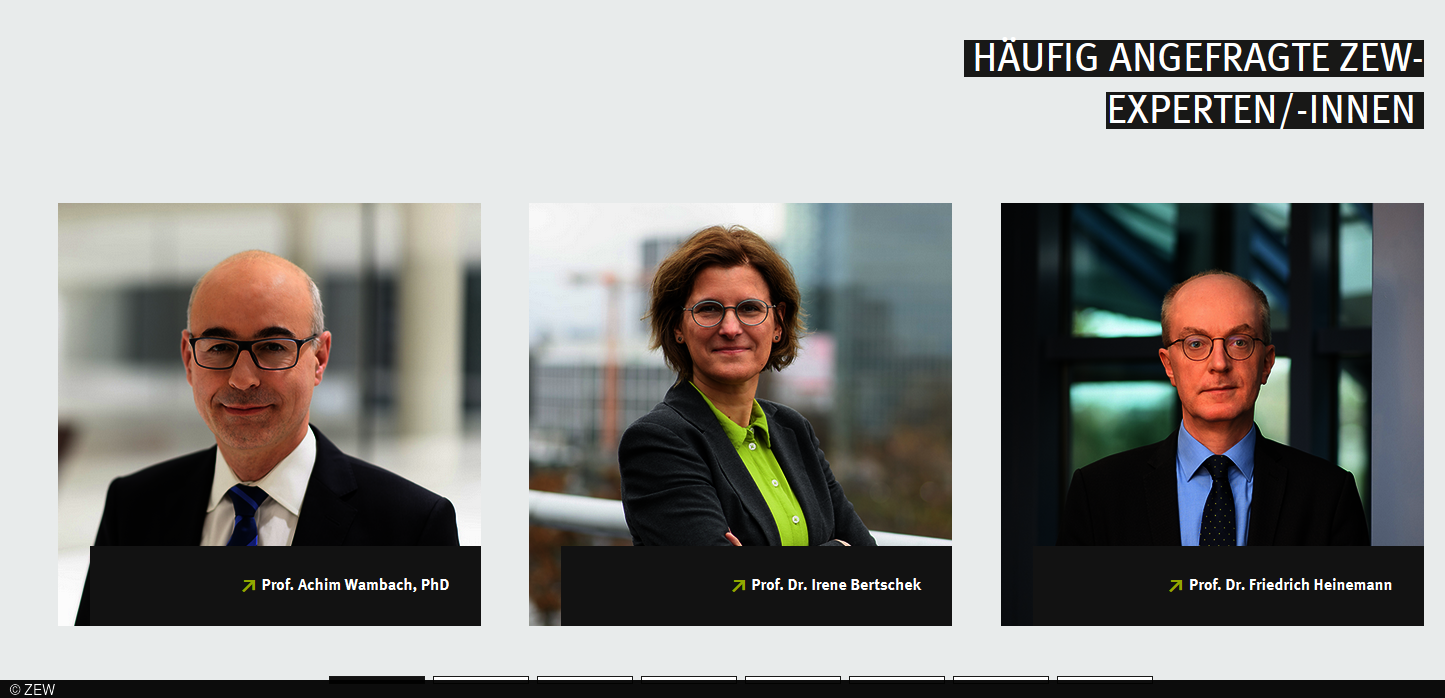 Häufig angefragte ZEW-Experten/-innen