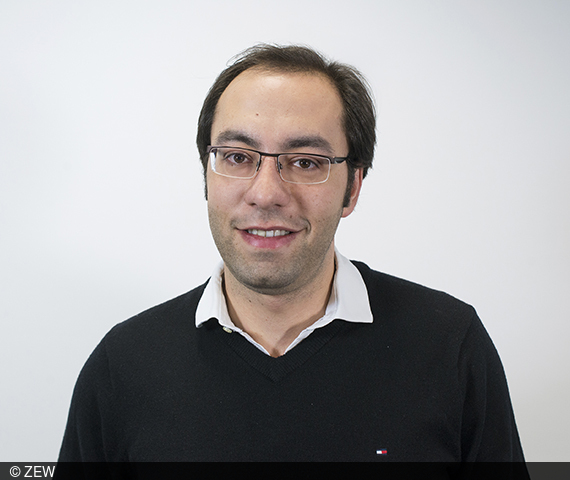 Portrait picture of ZEW economist Zareh Asatryan