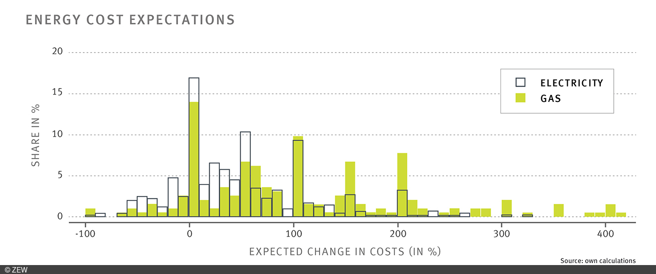 Bar graph showing the energy costs for gas and electricity expected by the households surveyed.