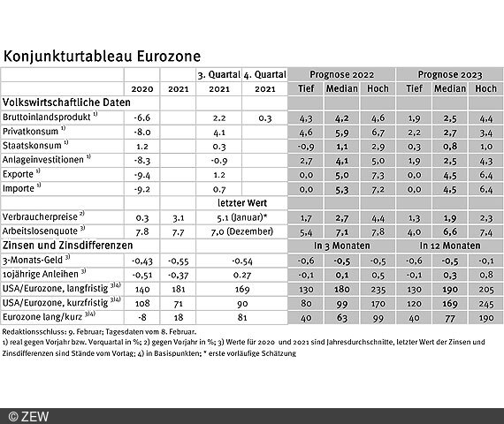 BIP-Wachstum im Eurogebiet im Jahr 2022 leicht gesunken.