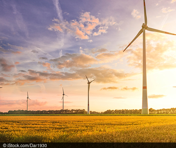 Die ZEW Kurzexpertise befasst sich mit der Vergabe von Fördermitteln für Windenergieanlagen