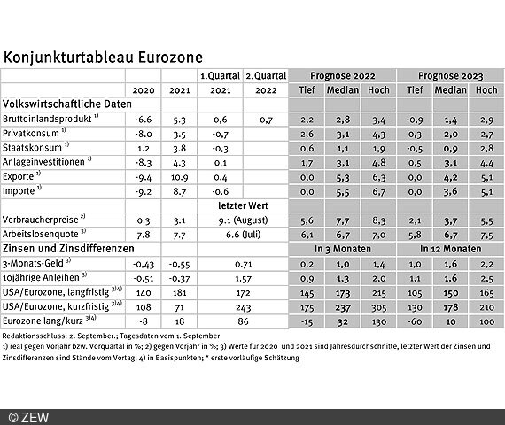 Tabelle der erfassten Daten des Konjunkturtableaus für die Eurozone