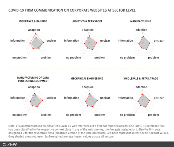 Graphic with results of the ZEW study on AI-based analysis of corporate websites