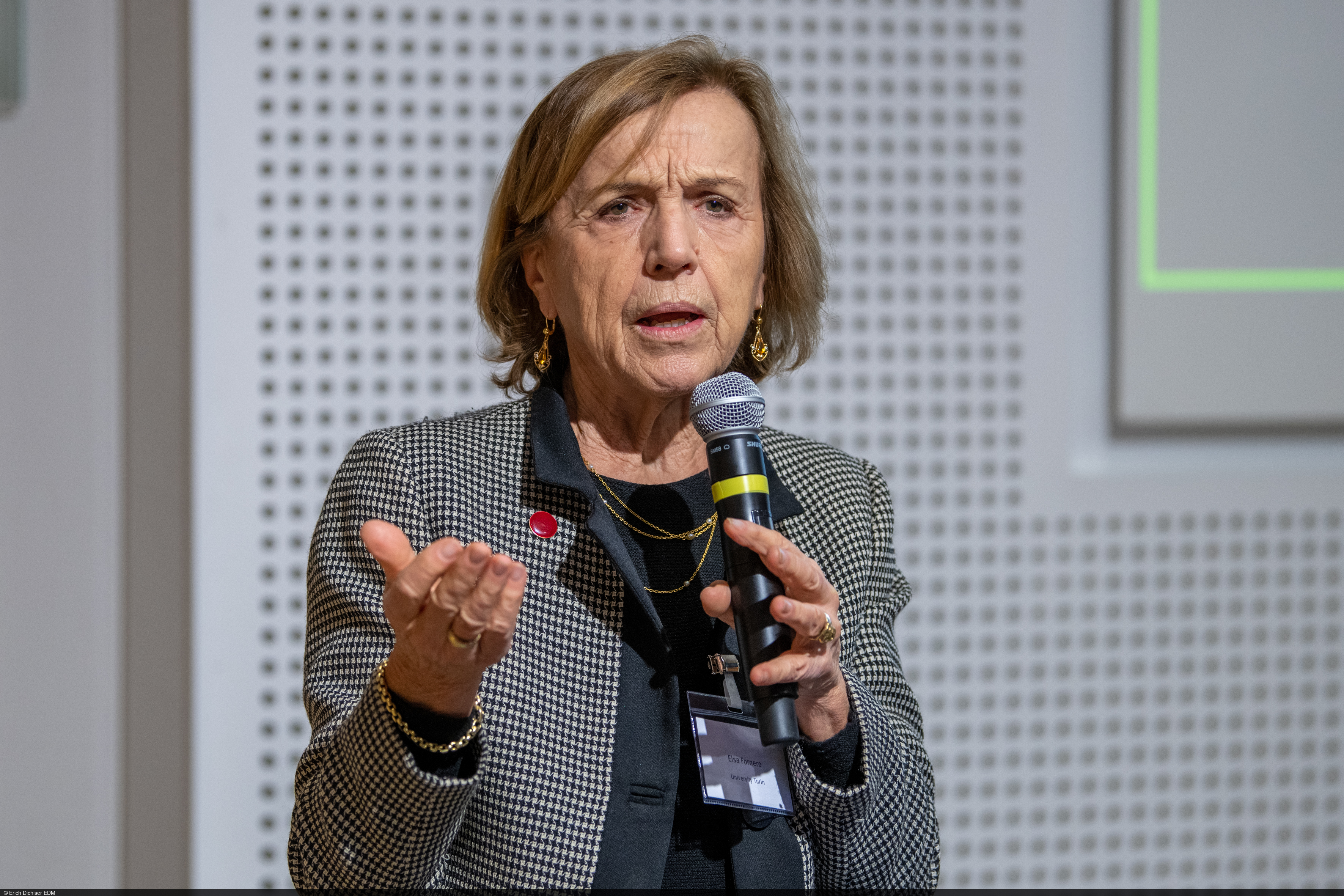 Prof. Elsa Fornero during her keynote