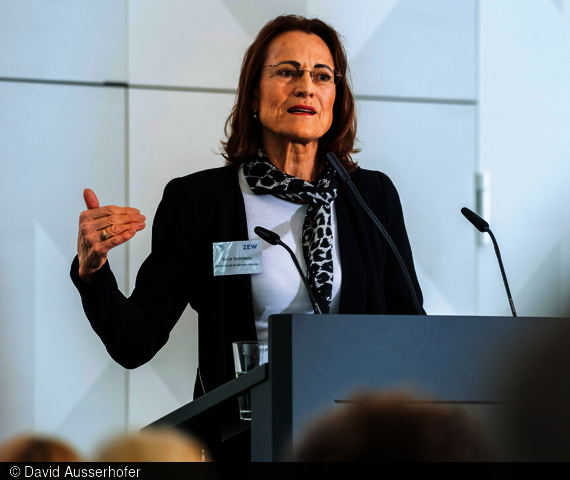 Dr. Sonja Sackmann während des von ZEW und Stiftverband organisierten Workshops