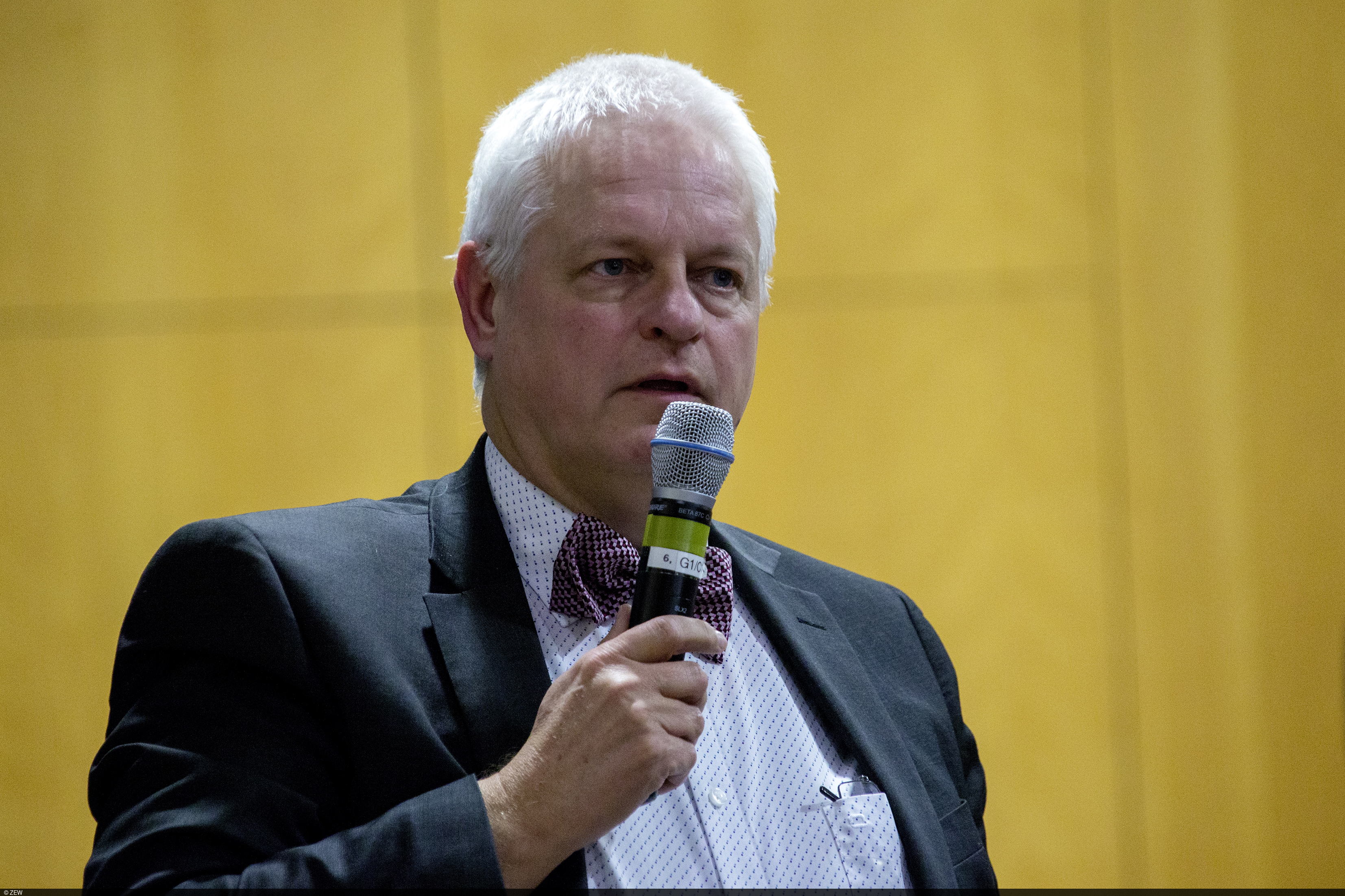 Event at ZEW focused on Germany’s Energy Transition